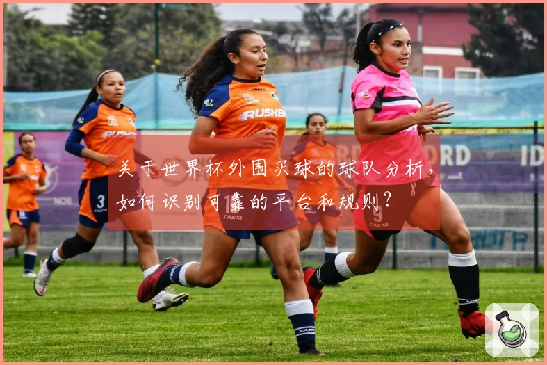 关于世界杯外围买球的球队分析，如何识别可靠的平台和规则？