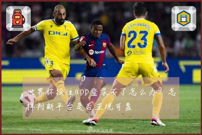 世界杯投注app登录不了怎么办？怎样判断平台是否正规可靠